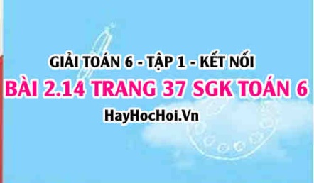 Giải bài 2.14 trang 37 Toán 6 Tập 1 SGK Kết nối tri thức